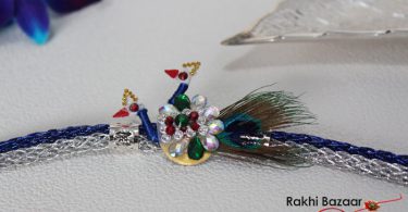 Want to Send Rakhi to Delhi