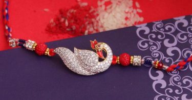 Top 8 AD Rakhis