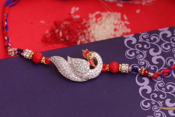 Top 8 AD Rakhis