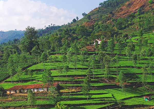 Visit to Kotagiri