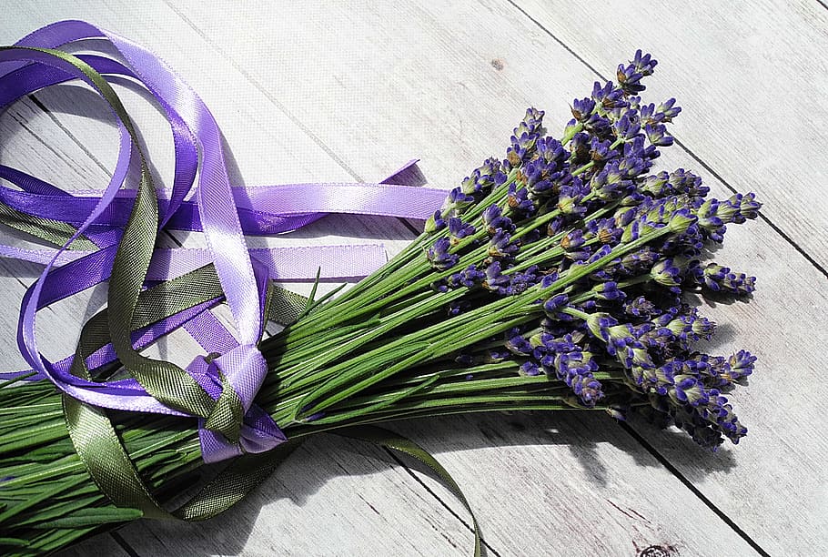 Lavender