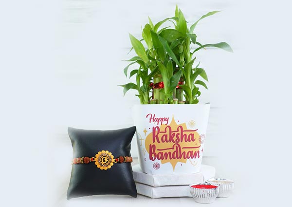 Rakhi with plants