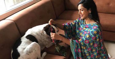 The new trend of celebrating Raksha Bandhan with pet dog