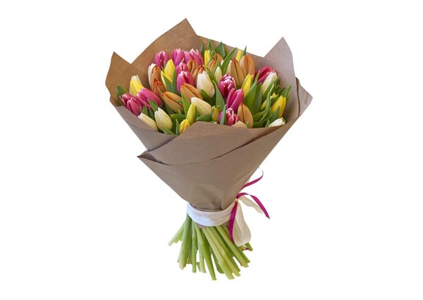 Tulip