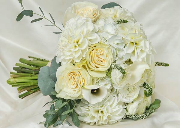 White wild rose