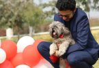 How to celebrate Raksha Bandhan with pets (1)