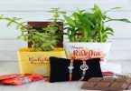 Embrace 9 Urban Gardening Rakhi Ideas this Raksha Bandhan